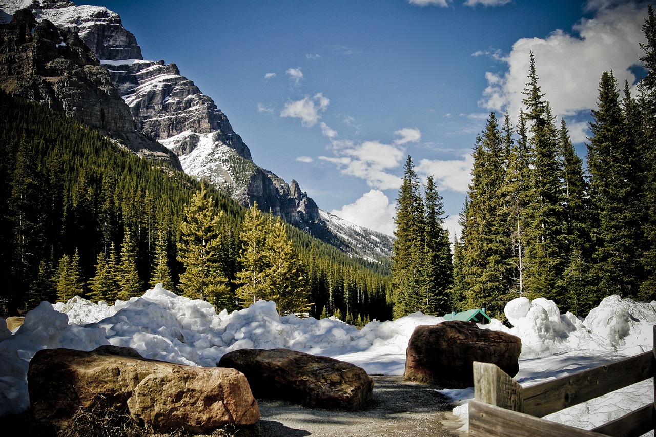 Exploring the Scenic Trails of Rocky Mountain National Park